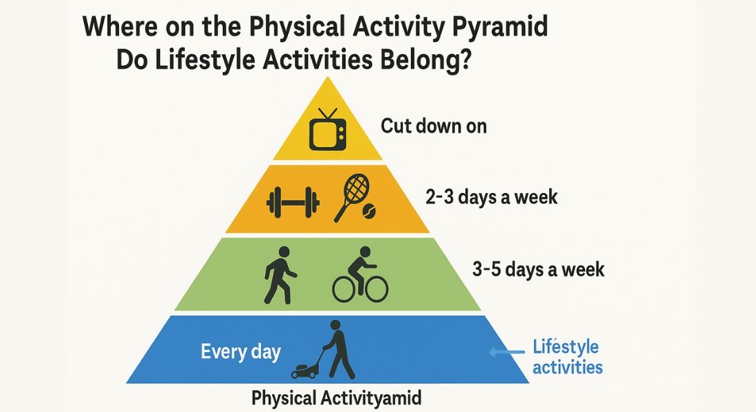 Where on the Physical Activity Pyramid Do Lifestyle Activities Belong