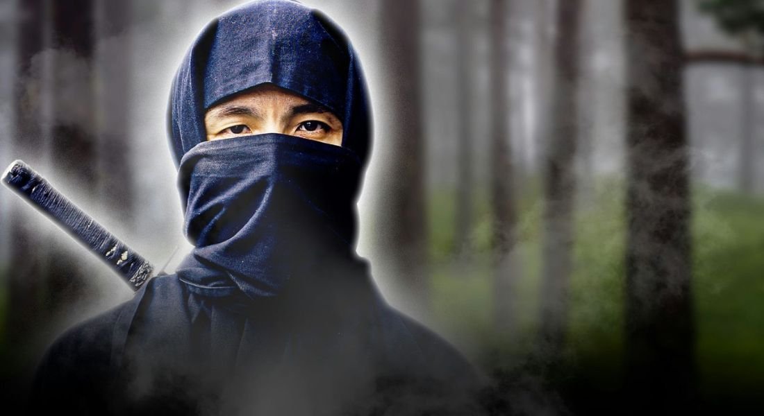 Ninjutsu